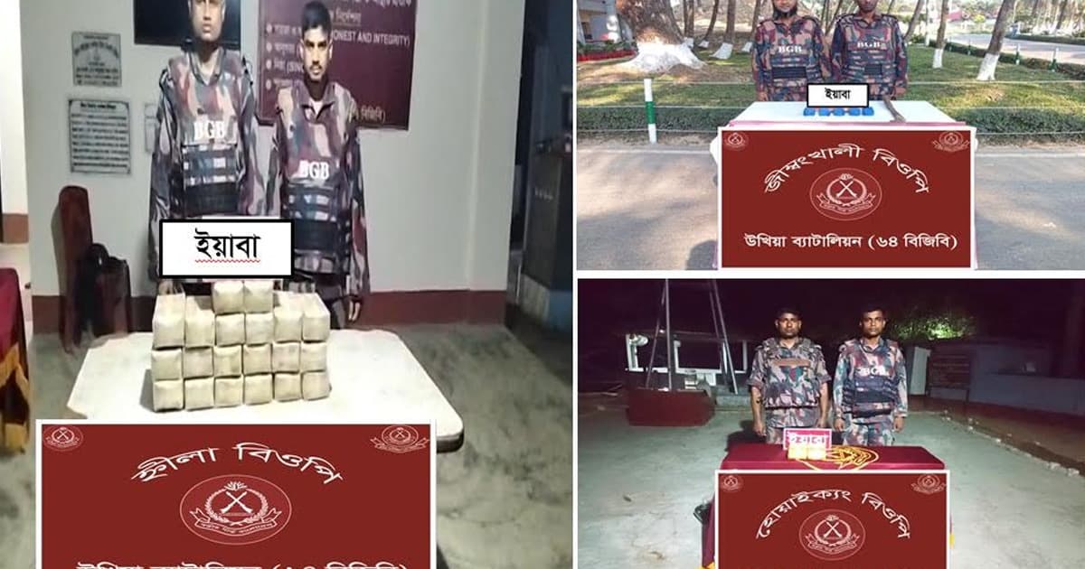 সীমান্তে পৃথক অভিযানে ২ লাখ ৩০ হাজার ইয়াবা উদ্ধার