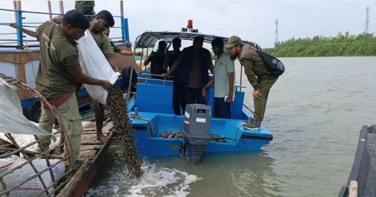 শ্যামনগরে জব্দকৃত ৫০ বস্তা ঝিনুক চুনা নদীতে অবমুক্ত