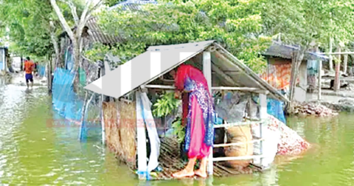 গর্জনে এগিয়ে, পিছিয়ে অর্জনে