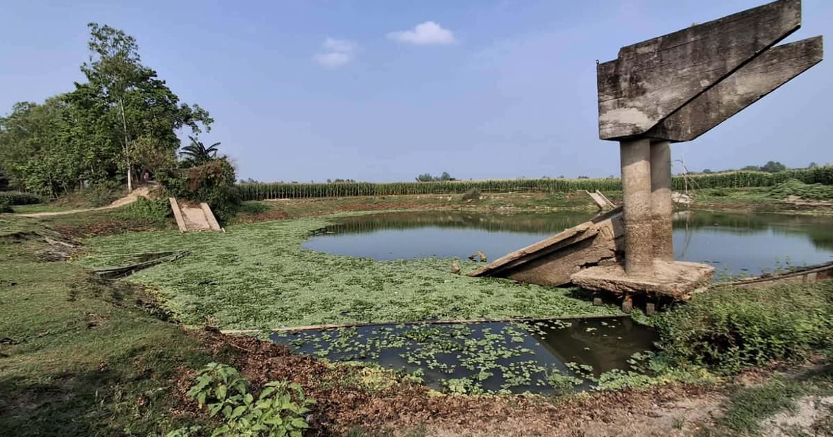 বকশীগঞ্জে সেতু না থাকায় দুর্ভোগ ১৫ হাজার মানুষ, ভোগান্তি চরমে