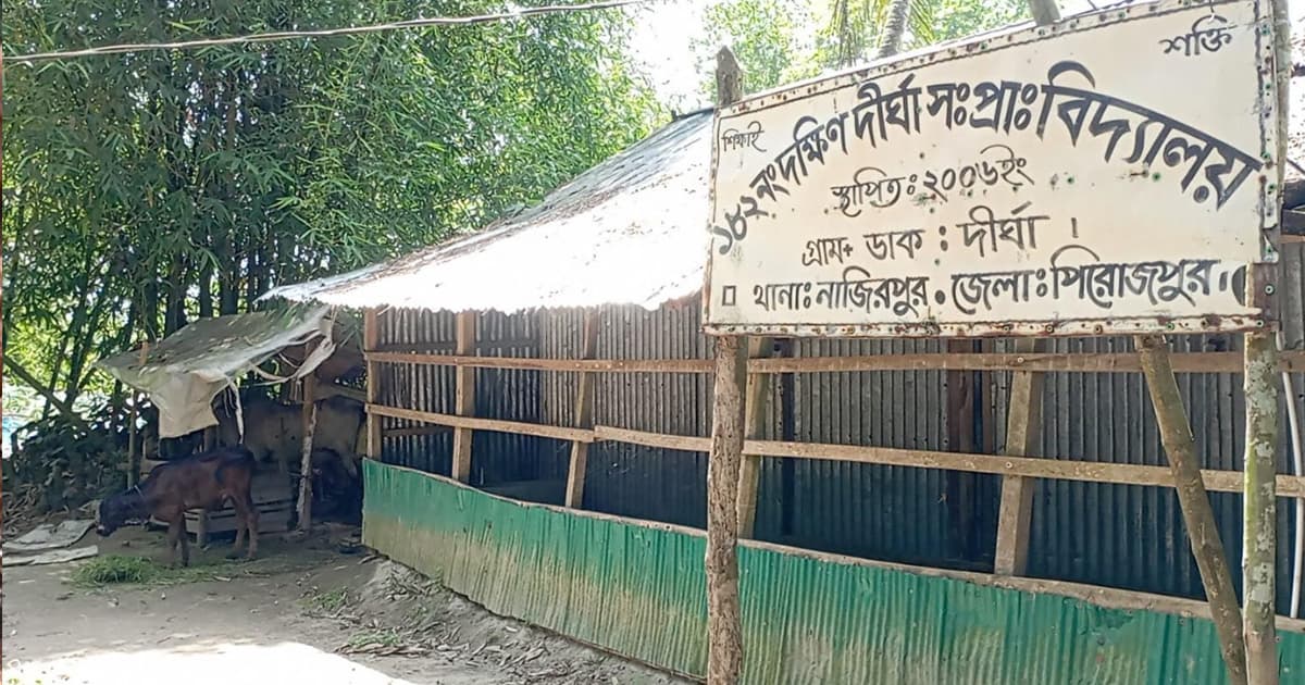 ৫ শিক্ষার্থীর ৪ শিক্ষক , স্কুল কম্পাউন্ডেই গরুর খামার