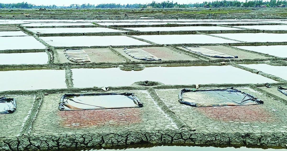 নানা প্রতিকূল পরিস্থিতিতে  কক্সবাজারে ব্যাহত লবণ উৎপাদন