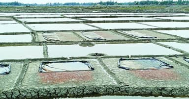 নানা প্রতিকূল পরিস্থিতিতে  কক্সবাজারে ব্যাহত লবণ উৎপাদন