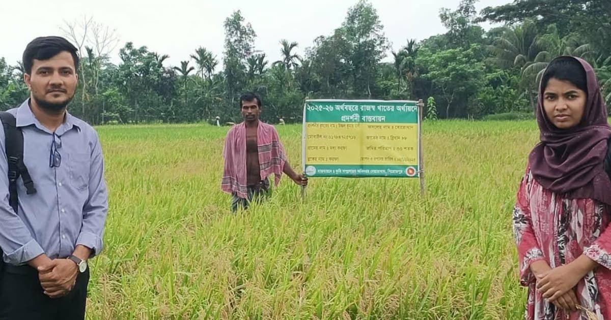 নেছারাবাদে ডিজেল সংকট কাটিয়ে স্বস্তিতে কৃষক, সেচে ফিরেছে গতি