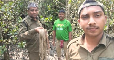 সুন্দরবনে হরিণ শিকারের ২৫ টি ফাঁদ উদ্ধার