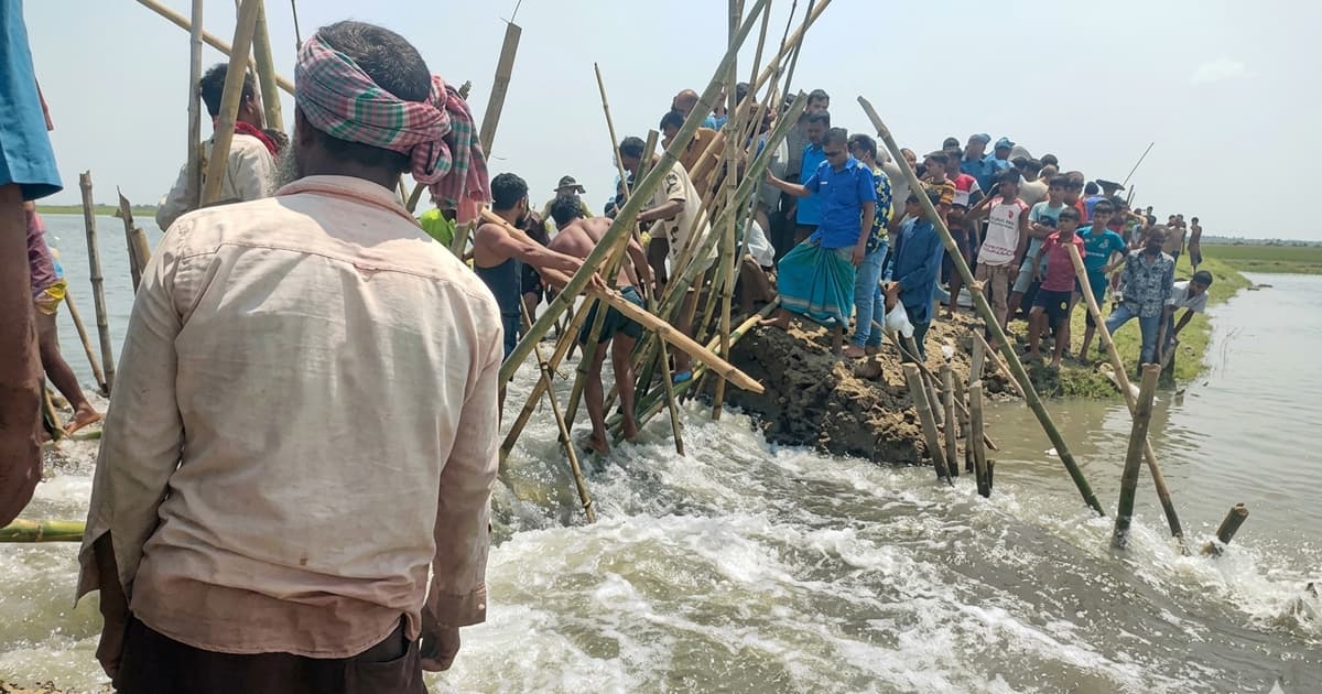 হাওরের বাঁধ ভেঙ্গে পানি ঢুকছে দেখার হাওরে