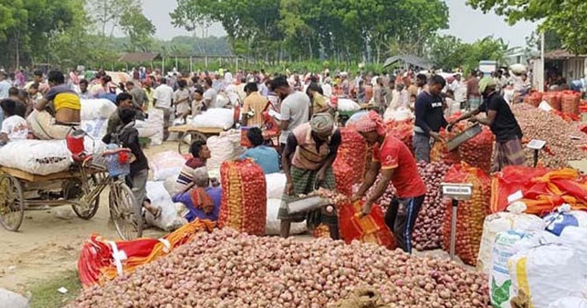 কুষ্টিয়ায় হাটে পেঁয়াজ চাষিদের মাথায় হাত
