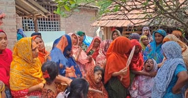 চুয়াডাঙ্গায় মৌমাছির কামড়ে ভ্যান চালকের মৃত্যু