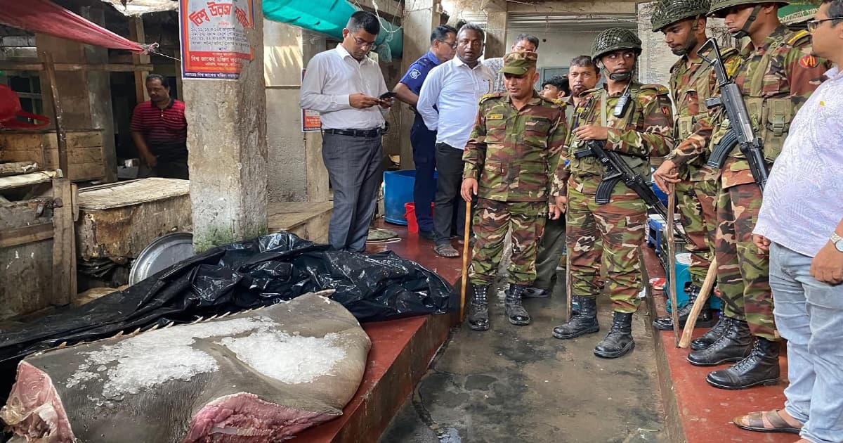 মঠবাড়িয়ায় ২০ মন ওজনের খটক মাছ জব্দ করে মাটি চাপা