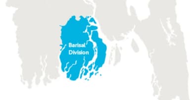 স্বামীর নির্যাতনে গৃহবধূর মৃত্যুর অভিযোগ