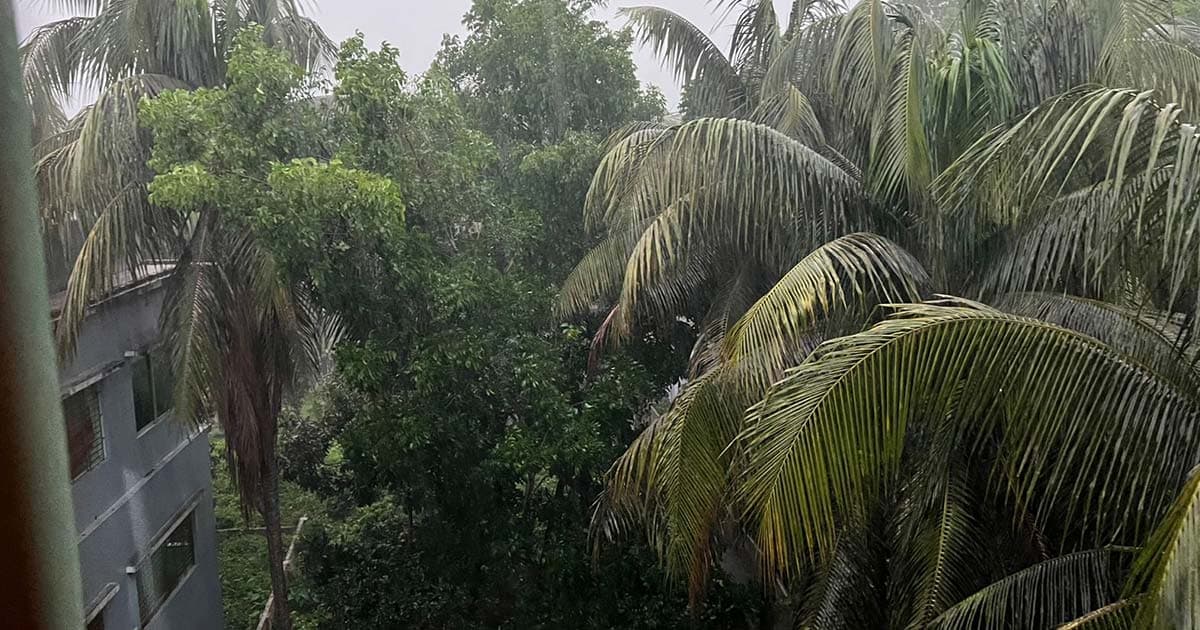 গরমের দাপট শেষে স্বস্তির বৃষ্টি, ফিরেছে প্রাণের ছোঁয়া