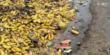 মহাসড়কের পাশে পৌরসভার ময়লার ভাগাড়