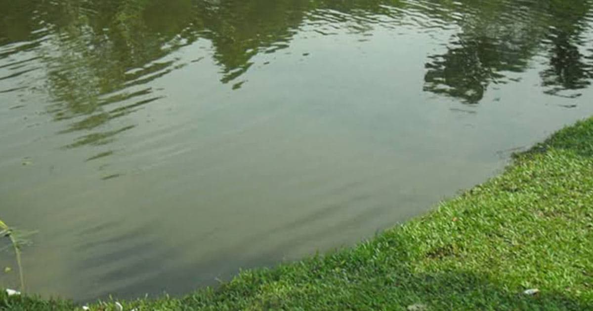 নানাবাড়ি বেড়াতে গিয়ে দুই শিশুর মৃত্যু