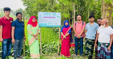 চিরিরবন্দরে সড়কজুড়ে সজিনা গাছ, পুষ্টিতে নতুন উদ্যোগ