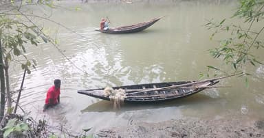 কাঁঠালিয়ায় চরগড়া জালের মহোৎসব চলছে