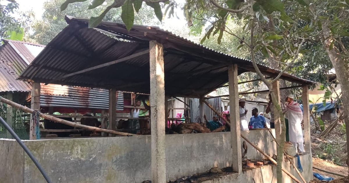 স্বপ্নের খামার পুড়ে ছাই: নিঃস্ব মসজিদের ইমাম