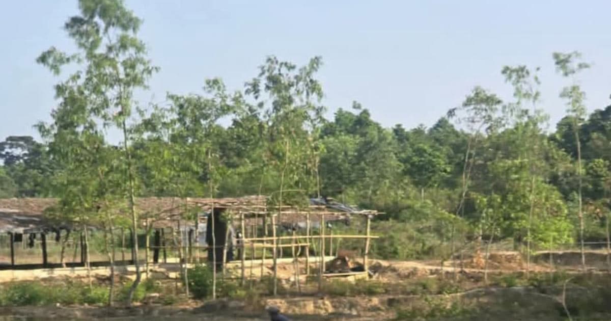 লামায় আতংকের এক নাম ‘তুইল্লার পাহাড়’