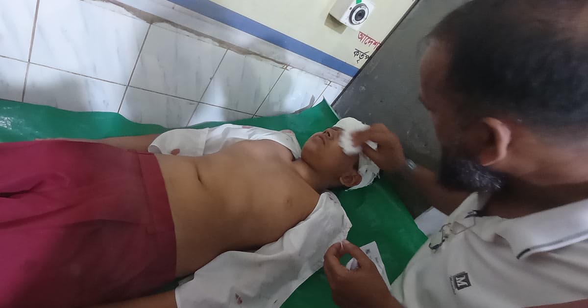 পিরোজপুরে ক্লাসে ফ্যান পড়ে ২ শিক্ষার্থী আহত