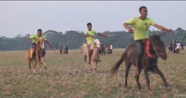 জিয়ানগরে ঐতিহ্যবাহী ঘোড়দৌড় প্রতিযোগিতা