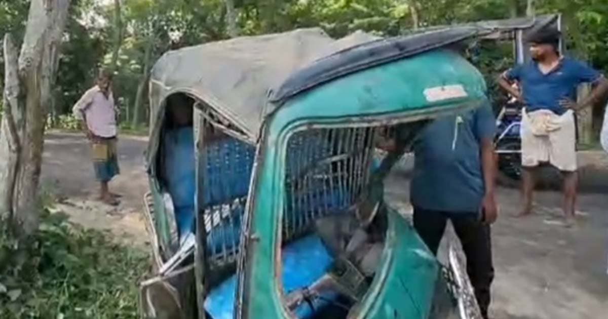 শ্রীনগরে পিকআপ ও সিএনজির সংঘর্ষে অন্তঃসত্ত্বা নারীসহ আহত ৭