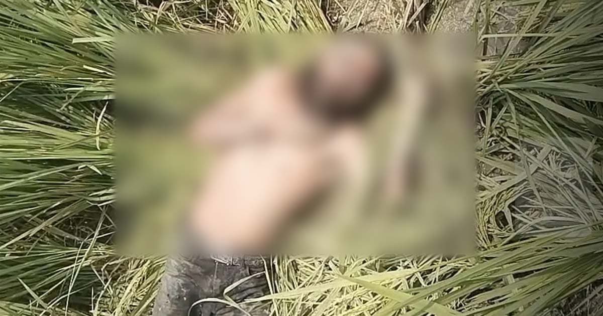 তাড়াশে ধানক্ষেত থেকে নিখোঁজ ব্যক্তির লাশ উদ্ধার