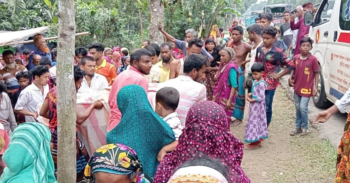 ময়মনসিংহে ট্রাকের ধাক্কায় অটোরিকশা চালক নিহত