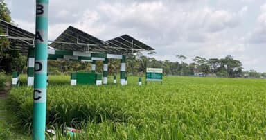 সোলার প্যানেলে স্বপ্ন দেখছেন কৃষক, কমছে খরচ