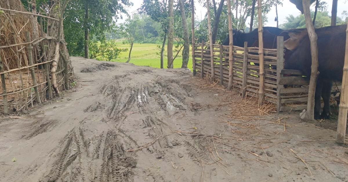 দেওয়ানগঞ্জে রাস্তার বেহাল দশা, ভোগান্তি