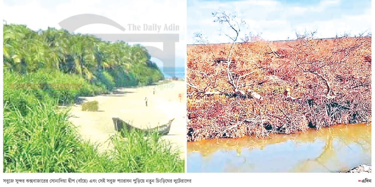 সোনাদিয়ার ‘সবুজে’  লুটেরার থাবা