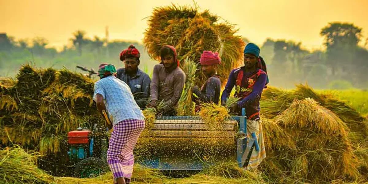 ৩৬ টাকায় ধান ও ৪৯ টাকা দরে চাল কিনবে সরকার