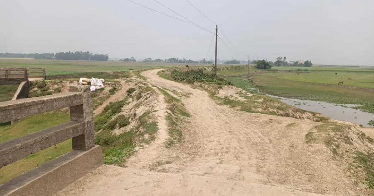 নাসিরনগরে সড়ক নির্মাণে অনিয়মের অভিযোগ