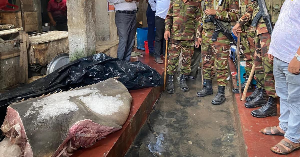 মঠবাড়িয়ায় বিলুপ্তপ্রায় খটক মাছ জব্দ