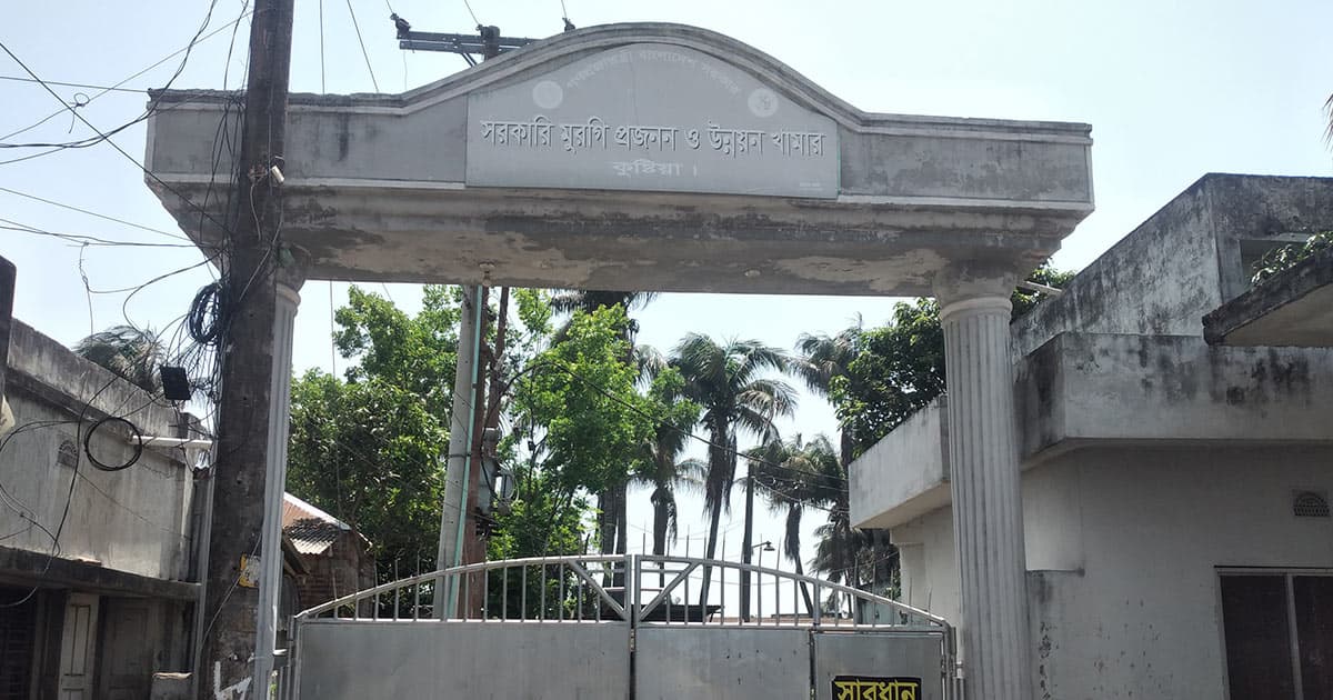 জনবল সংকট ও আর্থিক টানাপোড়েনে ধুঁকছে কুষ্টিয়া সরকারি মুরগি প্রজনন খামার