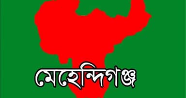 মেহেন্দিগঞ্জে তরুণীকে ধর্ষণের চেষ্টা