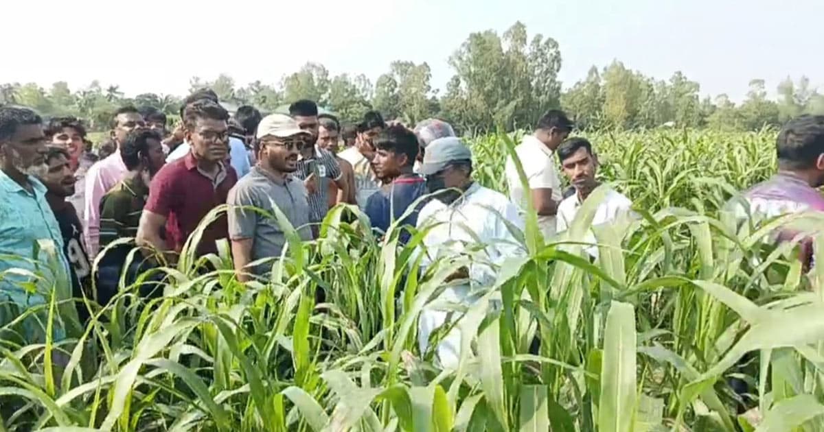 শাহজাদপুরে কিশোরের গলাকাটা লাশ উদ্ধার