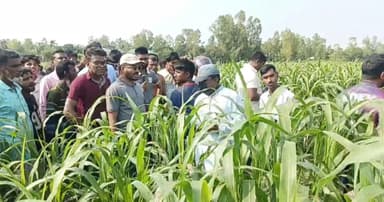 শাহজাদপুরে কিশোরের গলাকাটা লাশ উদ্ধার