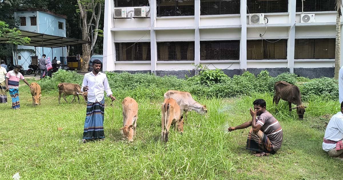 জেলেদের প্রকল্পে অনিয়ম, ক্ষোভ