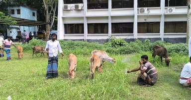 জেলেদের প্রকল্পে অনিয়ম, ক্ষোভ
