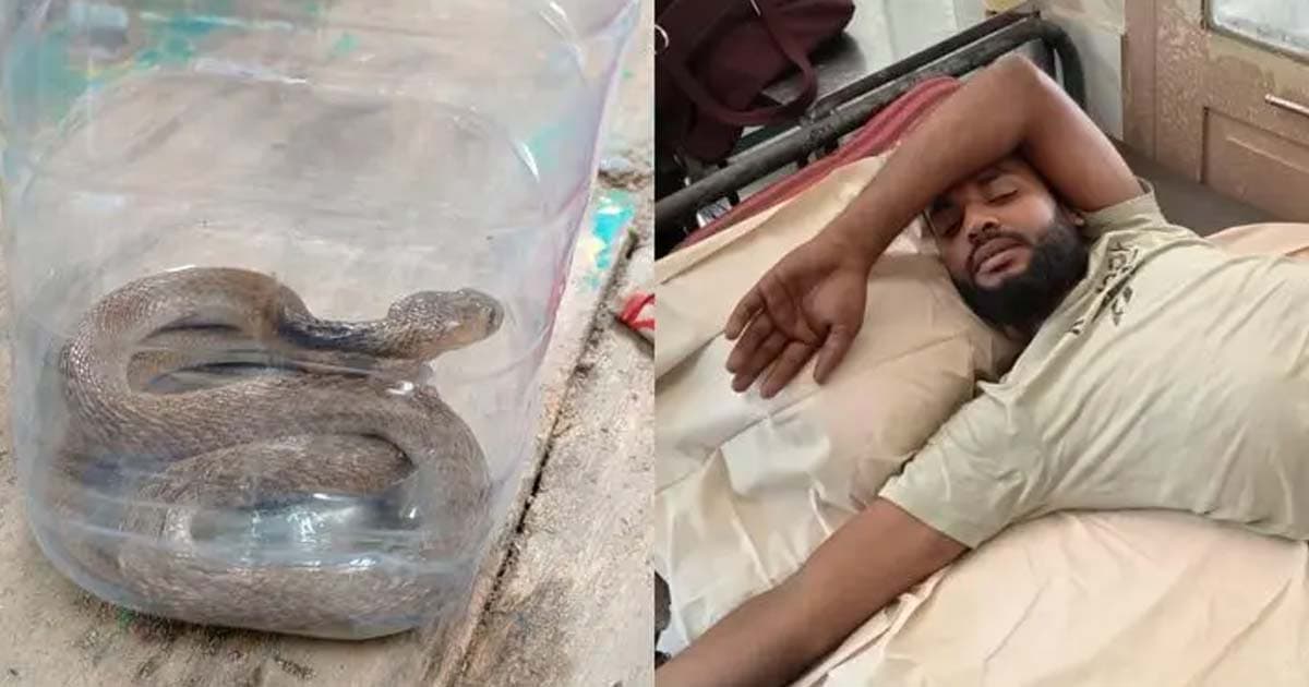 কামড় খেয়ে সাপ নিয়ে হাসপাতালে যুবক