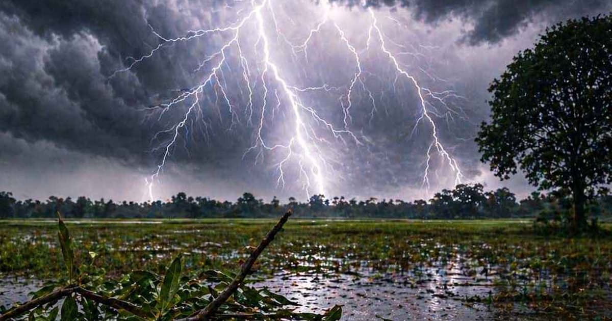 জামালপুরে বজ্রপাতে নিহত ২