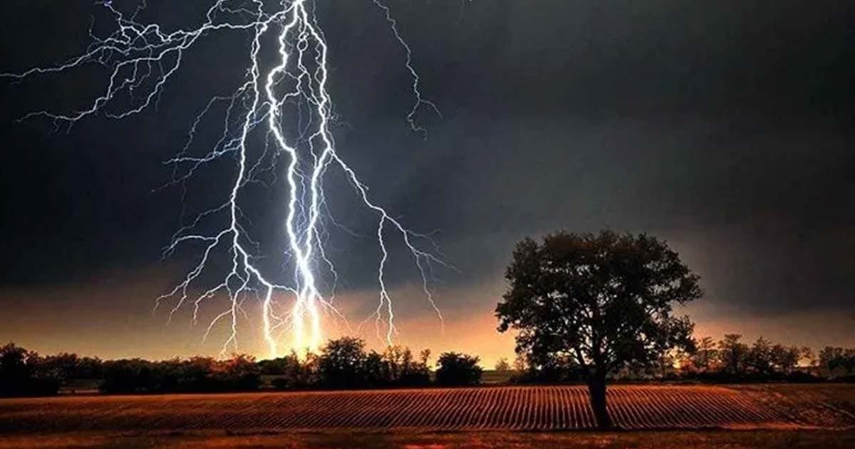 বজ্রাঘাতে মৃত্যু ১৪