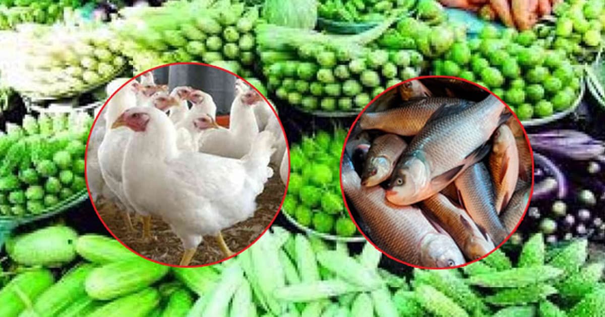 সবজিতে সেঞ্চুরি, মাছে ডাবল