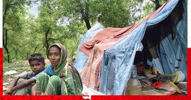 জাফলংয়ের বনে বিবর্ণ এক মায়ের জীবনযুদ্ধ