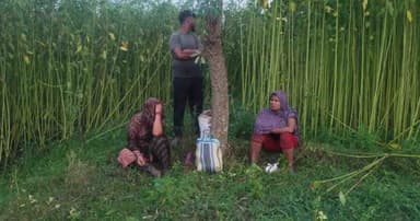 চুয়াডাঙ্গায় ৩ জনকে বিএসএফের পুশ-ইন অপচেষ্টা প্রতিহত করলো বিজিবি