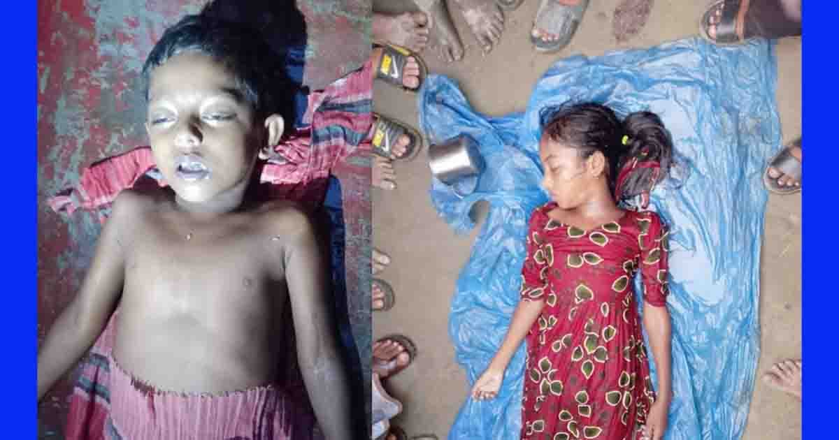ধর্মপাশায় বিলে পানিতে ডুবে ভাইবোনের মর্মান্তিক মৃত্যু