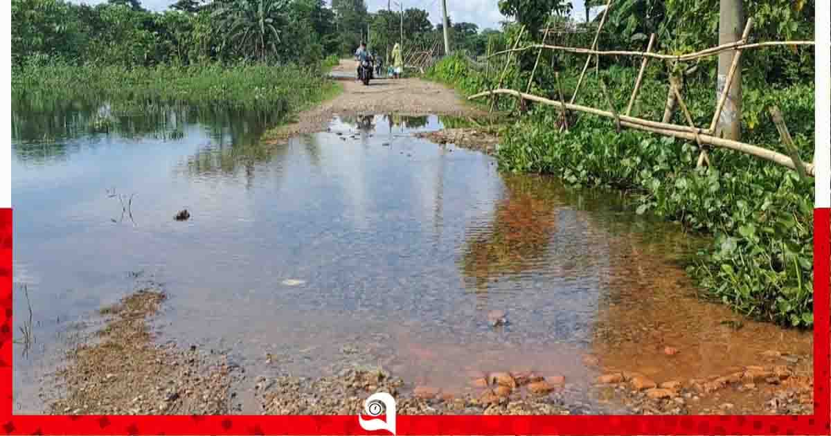 সড়ক ভেঙে নালা, থমকে গেছে চাকা