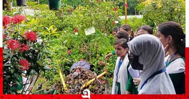 বিদ্যুৎ-গ্যাসসংকটে সিলেটে কমছে বৃক্ষমেলার কেনাবেচা