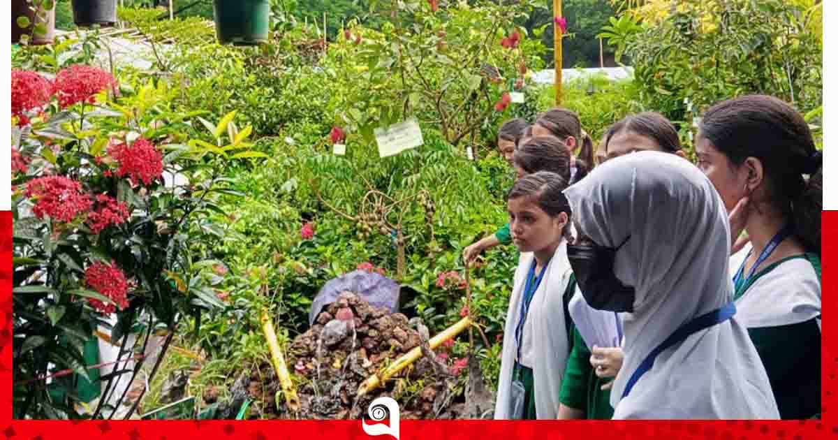 বিদ্যুৎ-গ্যাসসংকটে সিলেটে কমছে বৃক্ষমেলার কেনাবেচা