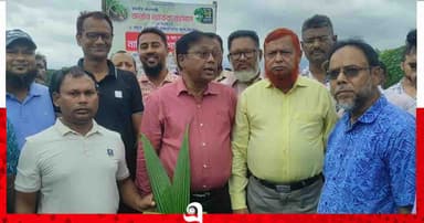 পটুয়াখালীতে চেম্বার অব কমার্স এন্ড ইন্ডাস্ট্রির উদ্যোগে বৃক্ষ রোপণ কর্মসূচি