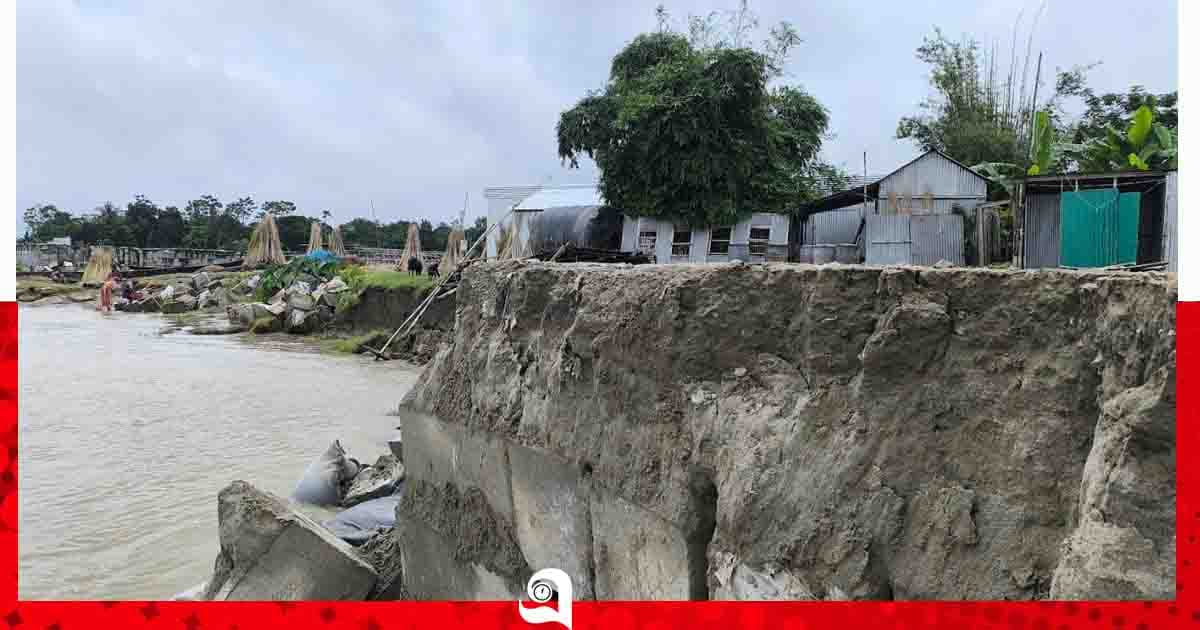 জাজিরায় পদ্মার পাড়ে আবারও ভাঙন, আতঙ্কে নদীপাড়ের মানুষ